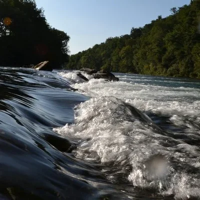 Turbine VLH® : turbine hydroélectrique en France ichtyocompatible